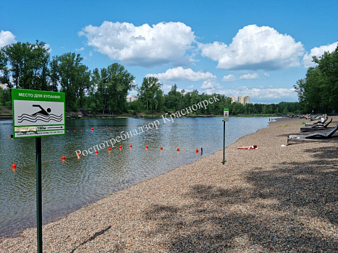 Красноярцам запретили купаться в одном из самых любимых озёр на острове Татышев. Фото: Управление Роспотребнадзора Красноярского края