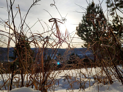 7 февраля в Красноярск придёт небольшое потепление до -8 градусов. Фото: Труфанова Александра 