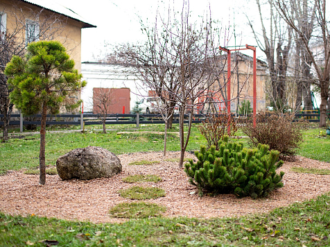 Конкурс на лучшее озеленение двора в Красноярске станет ежегодным. Фото: admkrsk.ru