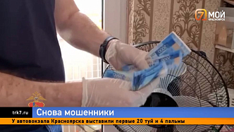 Студентка из Красноярска разграбила родительский сейф и отдала мошенникам почти 5,5 миллиона рублей