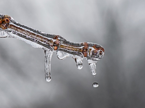 В Красноярске ожидается потепление до -2 градусов. Фото: smotrim.ru