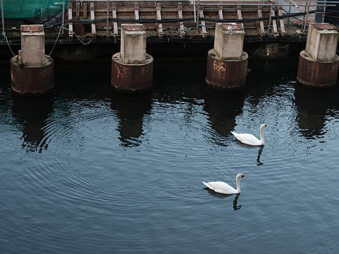 «Избежали ущерба в 175 млн рублей»: в Красноярском крае отремонтировали 5 дамб. Фото: ru.freepik.com