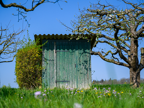 По данным Росстата в Красноярском крае почти 180 тысяч человек живут с уличными туалетами. Фото: ru.freepik.com