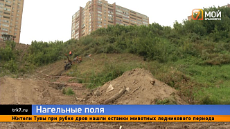 Полувековая гарантия — в Красноярске укрепляют склон Николаевского проспекта