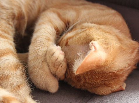 Часть Красноярска 13 ноября на весь день останется без отопления. Фото: pixabay.com