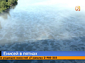 Масляные разводы на Енисее — в Красноярске ликвидируют последствия разлива нефтепродуктов