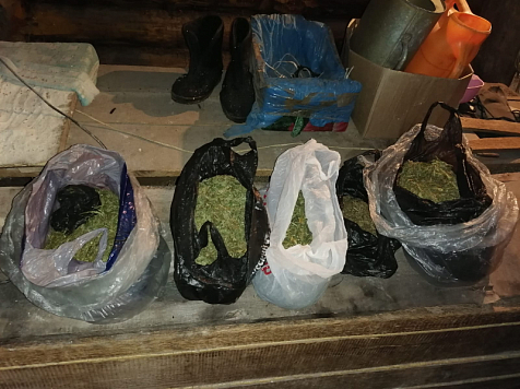 В Абанском районе Красноярского края полицейские нашли 1 килограмм марихуаны. Фото: ГУ МВД по Красноярскому краю