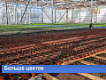 В этом году в сквере «Цветочный квартал» в Красноярске высадят кабачки, тыквы, рожь и пшеницу