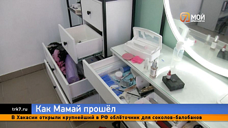 Вырвали ручки «с мясом» —  в Красноярске банда малолетних вандалов разнесла салон красоты