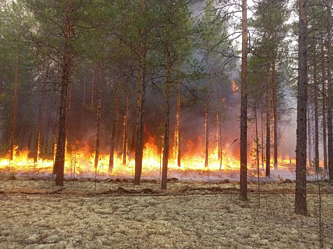 В Красноярском крае перестали разгораться лесные пожары. Фото: Лесопожарный центр Красноярского края