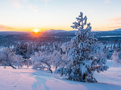 Сегодня самый короткий день, он ознаменует начало астрономической зимы. Фото: Freepik.com