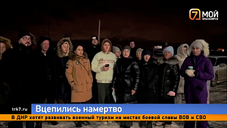 «У нас нет запасных детей»: жители красноярского СНТ записали обращение к губернатору о собачьем терроре