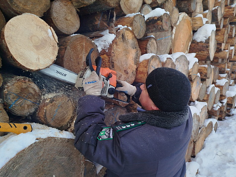 Китай остается основным импортером сибирской древесины. Фото: Россельхознадзор по&nbsp;Красноярскому краю
