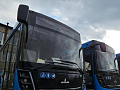 Автобусы из Красноярска до поселка Дрокино планируют запустить раньше срока 