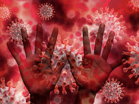 6 человек умерли от коронавируса за сутки в Красноярском крае . Фото: pixabay.com