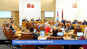 Городская казна — в Красноярске приняли последнюю в этом году корректировку бюджета