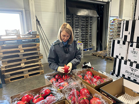 На территорию Красноярского края пытались ввезти 530 килограммов граната с паразитами. Фото: Управление Россельхознадзора по Красноярскому краю