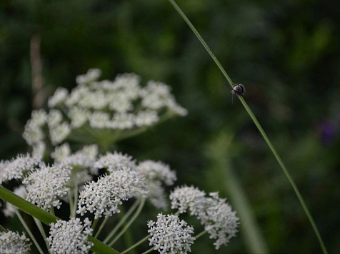 В Красноярск возвращаются теплые выходные . Фото: JN PHOTOS (VK)
