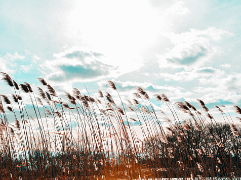 В Красноярске с 4 мая начнётся потепление. Фото: ru.freeoik.com