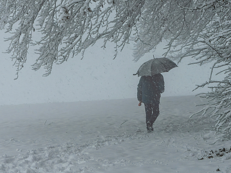 Дождь, мокрый снег и метель придут в Красноярск. Фото: freepik.com