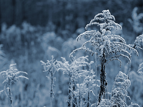 Мороз до -29°C ожидается в Красноярске 9 декабря. Фото: ru.freeepik.com