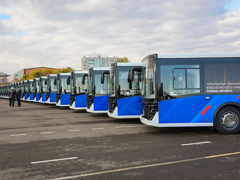 Для Красноярска планируют закупить 200 экологичных автобусов . Фото: Александр Черных