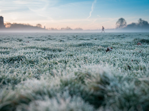 В пригороде Красноярска ожидается похолодание до 0 градусов и ветер до 18 метров в секунду. Фото: freepik.com