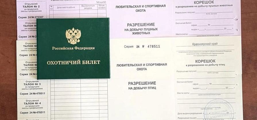 В Красноярском крае началась подготовка к сезону охоты