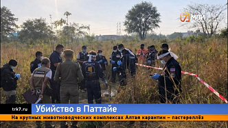 Красноярцу грозит смертная казнь в Таиланде — расчленённое тело нашли в пяти тайниках Паттайи