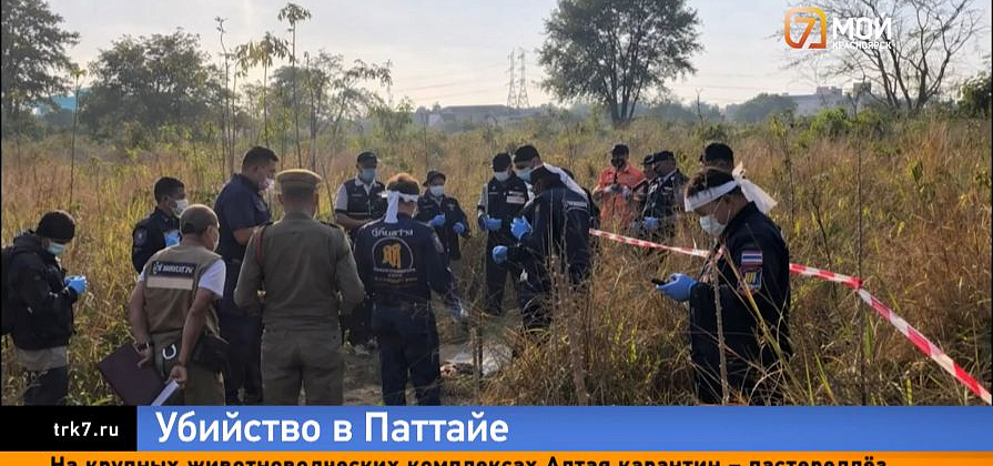 Красноярцу грозит смертная казнь в Таиланде — расчленённое тело нашли в пяти тайниках Паттайи