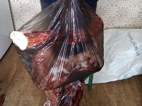 На Таймыре у пенсионера украли 11 кг оленины и 9 кг грибов. Фото: МВД