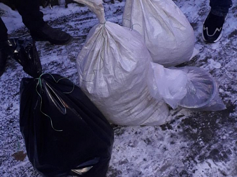 В Канске полицейские изъяли более 11 кг наркотиков. Фото: 24.мвд.рф