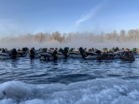 В Красноярск идет потепление. Фото: Алик Мелконян