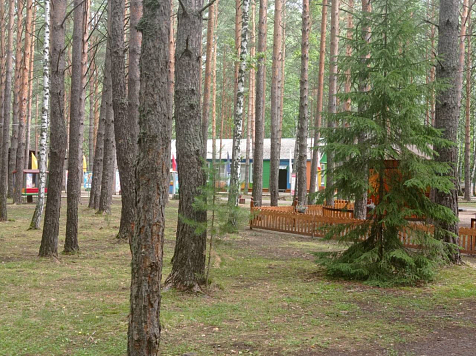 СК России взял на контроль дело об изнасиловании ребенка в Красноярском лагере . Фото: 7 канал Красноярск