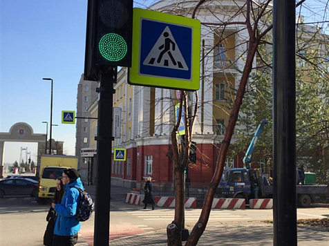 В границах перекрёстков на проспекте Мира в Красноярске будут высаживать только кизильник. Фото: мэрия