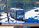 В Красноярске автобус сбил 10-летнего мальчика с велосипедом
