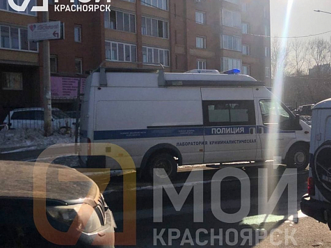 Напавшую на детсад с ружьем красноярку оставили под арестом до конца осени. Фото: 7 канал Красноярск