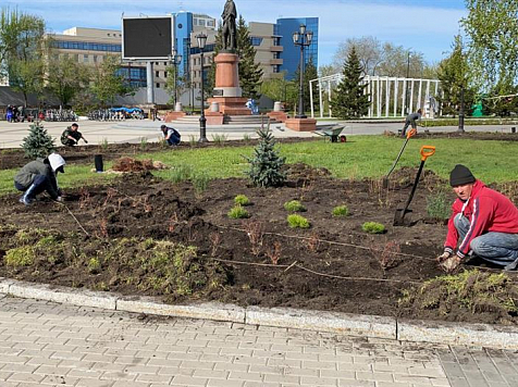 В Красноярске начали высаживать деревья и цветы. Фото: admkrsk.ru