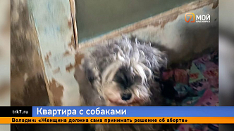 На Менжинского 30 собак в квартире превратили жизнь девятиэтажки в зловонный кошмар