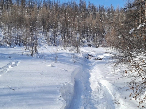 Тела пропавших отца и сына нашли в 50 километрах от поселка в Красноярском крае . Фото: СК Красноярского края