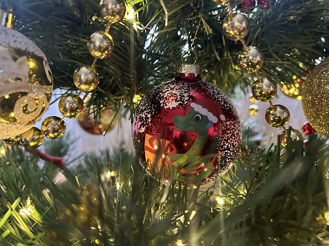 Публикуем прогноз погоды в Красноярске на Новый год. Фото автора