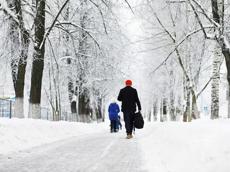 Пасмурная и морозная погода ожидается в Красноярске 29 ноября. Фото: ru.freeipk.com