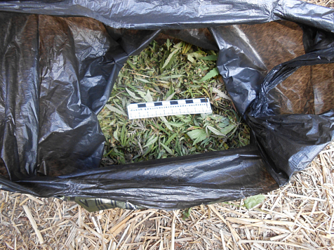 В Минусинске у мужчины изъяли более 2 кг марихуаны. Фото: 24.мвд.рф