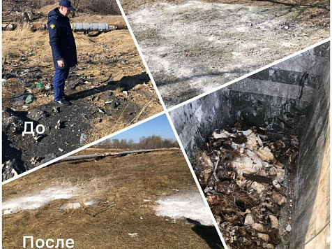 В Красноярске ликвидировали свалку биоотходов вблизи реки Теплая . Фото: Прокуратура Красноярского края