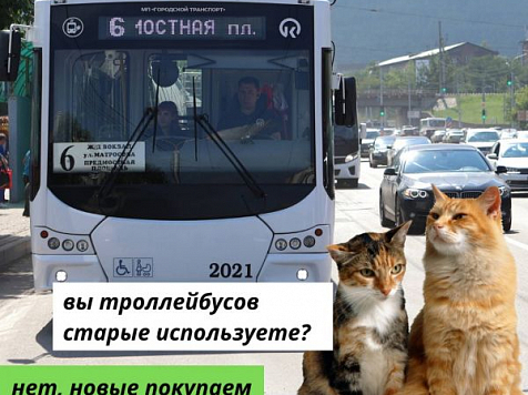 Шутку про закупку красноярских троллейбусов в стиле мема оценили в сети. Коллаж: vk.com/krasnoyarskrf