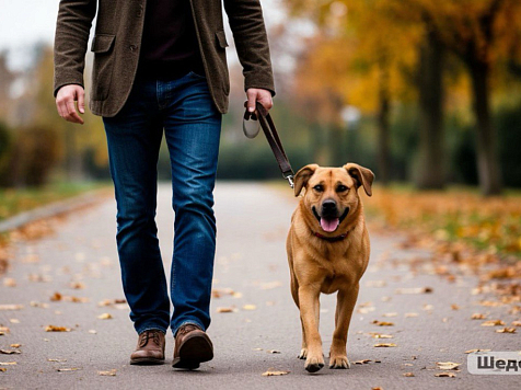 Власти ужесточают правила выгула питомцев после трагедии, красноярцы не согласны. Фото: Шедеврум