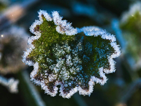 Завтра заморозки: неожиданный для июля прогноз от красноярских синоптиков. Фото: Freepik.com