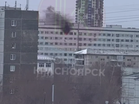 Пять собак погибли при пожаре в многоэтажке на Ладо Кецховели. Фото/видео: «Короче, Красноярск»