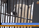 В красноярском зоопарке посетители сняли на видео пускающего пузыри медведя