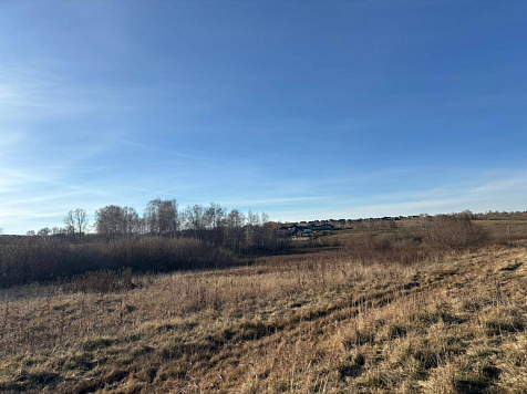 10-летнего помощника пастуха насмерть загрызли собаки под Красноярском . СК Красноярского края